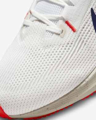 Кросівки чоловічі для бігу Nike Pegasus 40 DV3853-100 40.5