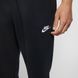 Штани спортивні чоловічі Nike NSW Club Jogger BV2671-010 XS